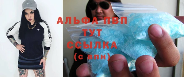 крисы Михайловск