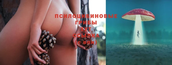 крисы Михайловск