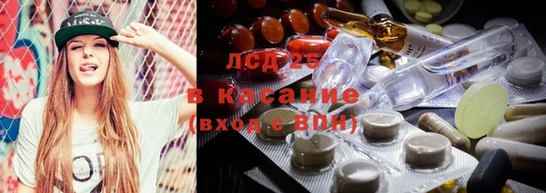 крисы Михайловск