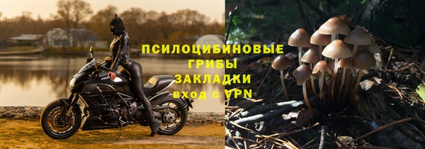 крисы Михайловск