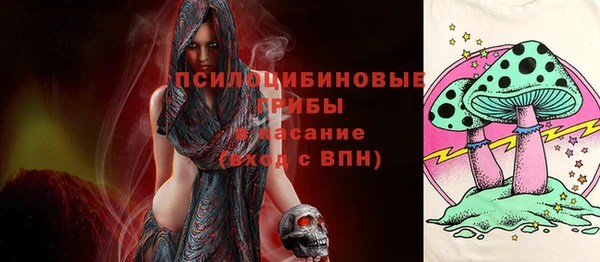 крисы Михайловск