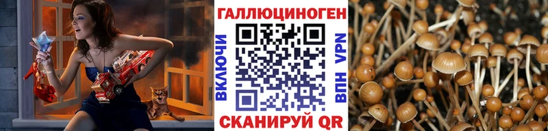 Галлюциногенные грибы прущие грибы  Ува 